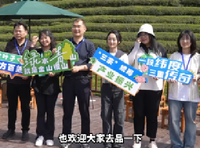 保康茶，好喝！