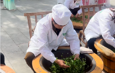 襄阳高香茶炒茶师现场展示手工制茶工艺