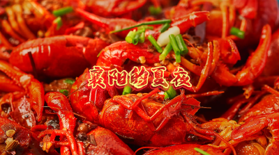 “襄约虾季”2025襄阳首届抖音龙虾美食狂欢季，火热开席！