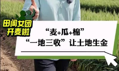 《田间女团开麦啦！》“麦+瓜+棉”  “一地三收”让土地生金（襄阳市农业农村局、襄阳市融媒体中心、襄阳市妇女联合会）