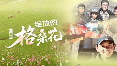 中国广播剧研究会｜广播剧《绽放的格桑花》开播！见证“襄阳—琼结”六年之约！