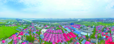 千舟归岸：从“江湖”到家园