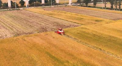 襄阳市公检中心护航农业高质量发展，筑牢粮食安全防线，以精准检测护航农业高质量发展！ 