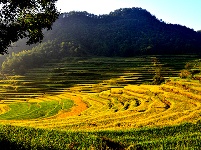 蕲春雾云山梯田美景