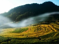 蕲春雾云山梯田美景