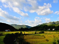 蕲春雾云山梯田美景