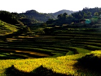 蕲春雾云山梯田美景