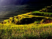 蕲春雾云山梯田美景