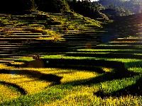 蕲春雾云山梯田美景