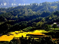 蕲春雾云山梯田美景