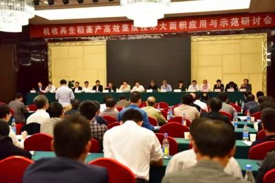 蕲春：机收再生稻再生季亩产超400公斤