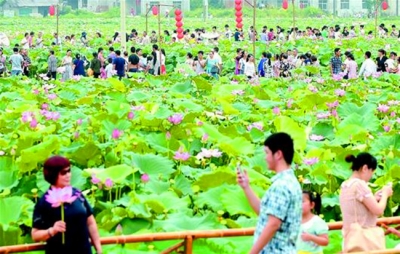 狮子镇把推进绿色发展落到实处