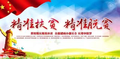 蕲春精准扶贫首期“双十典型”名单公示啦！