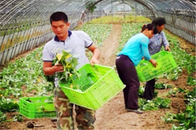 陈林华：扶贫好政策  圆我脱贫梦