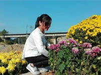 蕲春三万盆菊花扮靓金秋