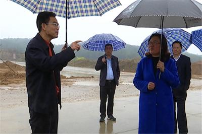 张社教来蕲春调研指导
