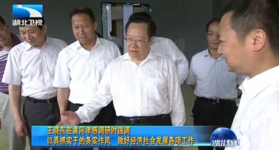 王晓东黄冈调研强调：以真抓实干的务实作风做好经济社会发展各项工作