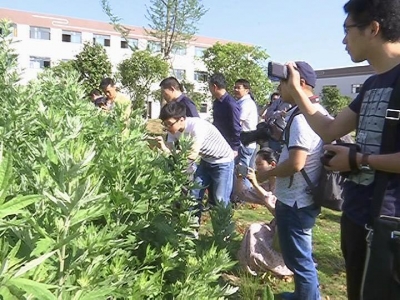 县委宣传部组织开展“艾都探秘 见证神奇”大型采风活动
