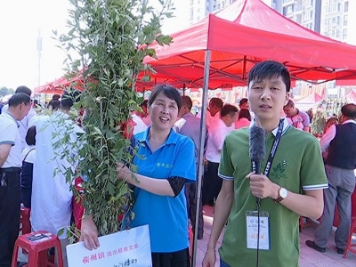 艾草体验 艾产品博览 农特精产品展三大活动引爆满城人气