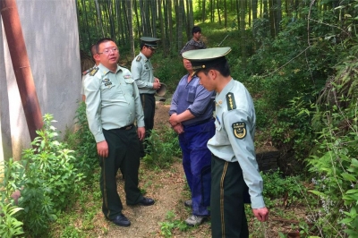 拒不整改 蕲春一木材厂被查封
