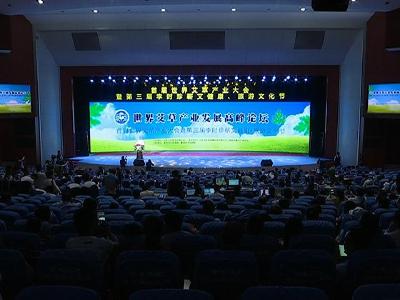 节会举行世界艾草产业发展高峰论坛