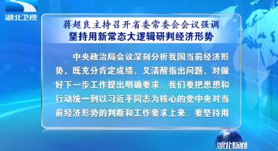 蒋超良强调坚持用新常态大逻辑研判经济形势维护金融安全