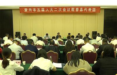 蕲春代表团集中审议《黄冈市五届人大二次会议选举办法（草案）》