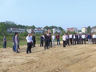 向桥乡易地扶贫搬迁点建设全面启动