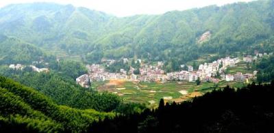 【蕲味搜搜搜】⑤春笋纷纷破土出，又是棠树岭尝鲜好时节