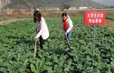   湖北选聘2000名大学生村官 9日起网上报名