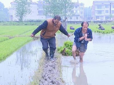 高天在种田1600亩
