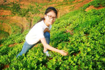  “一家人”惠一方百姓