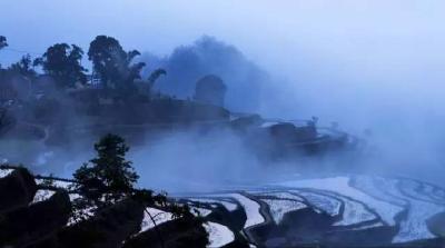 【蕲味搜搜搜】⑥山光水色云雾里 酥圆香醉有几人