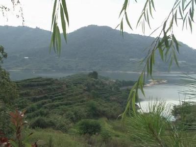 狮子镇长林村发展乡村旅游助民增收