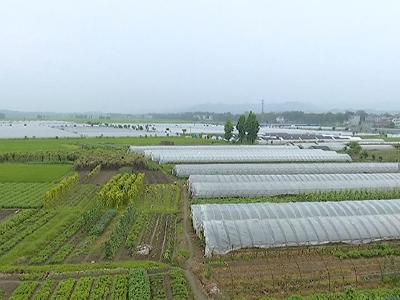 移民后扶项目改善移民村生产生活条件