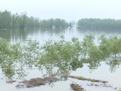 蕲州长江干堤责任单位防汛值守到岗到点