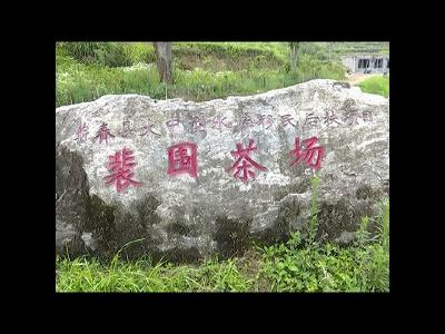 檀林镇裴围村：用好帮扶政策 带动移民增收