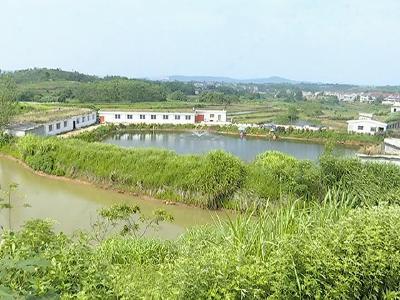 叶荣喜：沼气新技术带动农村环保