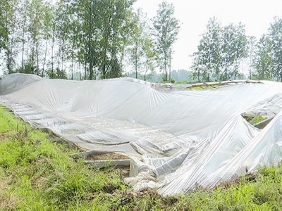 遭遇大风袭击 赤东镇积极开展灾后恢复生产