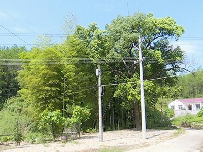 大同镇：广播村村响搭建农村公共文化服务平台