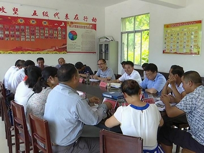 县领导参加“聚力脱贫攻坚 五级代表在行动”檀林镇小组活动