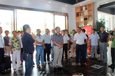 蕲春县人大代表视察招商引资工作