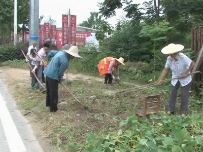 漕河镇开展李时珍大道综合整治