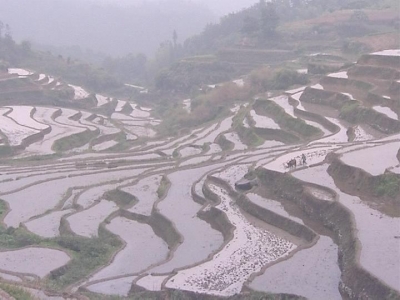 雾云山生态旅游区创建国家4A级景区进入倒计时