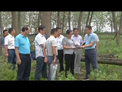 赵少莲调研督办雷霆行动