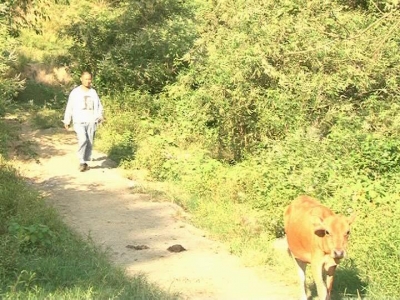 “喜迎十九大 争创新业绩”向桥乡打好“党建+”组合拳 开创党建工作新局面