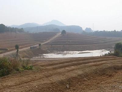 蕲州镇龙泉庵村花果山水土保持项目顺利推进