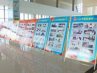 记者看两会：代表委员书画展弘扬主旋律传递正能量