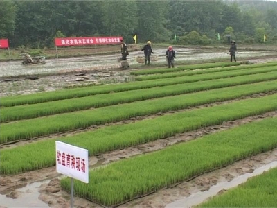 詹才红：以改革创新精神 开创粮食工作新局面