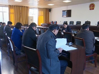 县十七届人大二次会议共收到议案16件